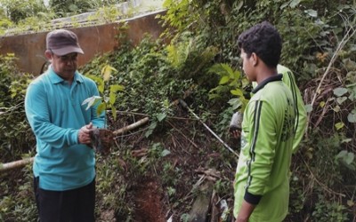 Kegiatan Penanaman Pohon dalam Rangka Peduli Lingkungan